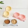 Double Cat Food Bowl with Non-Slip Base, Stainless Steel Food & Water Bowls Set with Easy-to-Clean Detachable Design, Pet Feeder for Cats & Dogs
