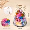 Gifts for Mom Birthday Gifts for Women Preserved Rose Forever Flower in Glass Angel Figurines Fresh Flowers for Delivery Anniversary Mothers Day Real