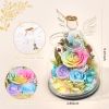 Gifts for Mom Birthday Gifts for Women Preserved Rose Forever Flower in Glass Angel Figurines Fresh Flowers for Delivery Anniversary Mothers Day Real