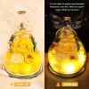 Gifts for Mom Birthday Gifts for Women Preserved Rose Forever Flower in Glass Angel Figurines Fresh Flowers for Delivery Anniversary Mothers Day Real