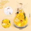 Gifts for Mom Birthday Gifts for Women Preserved Rose Forever Flower in Glass Angel Figurines Fresh Flowers for Delivery Anniversary Mothers Day Real