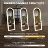 3 Color Lighting Mirror with LED Lights, 64"x21" Lighted Floor Standing Mirror with Stand, Wall Mounted Hanging