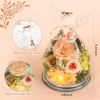 Gifts for Mom Birthday Gifts for Women Preserved Rose Forever Flower in Glass Angel Figurines Fresh Flowers for Delivery Anniversary Mothers Day Real